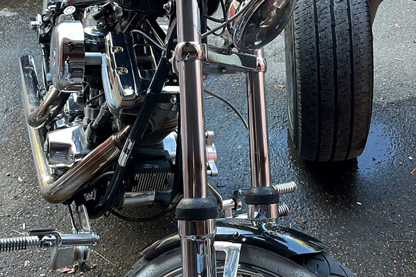 Harley Softail