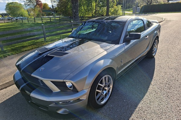 FORD Mustang GT 500 Shellby 548hk