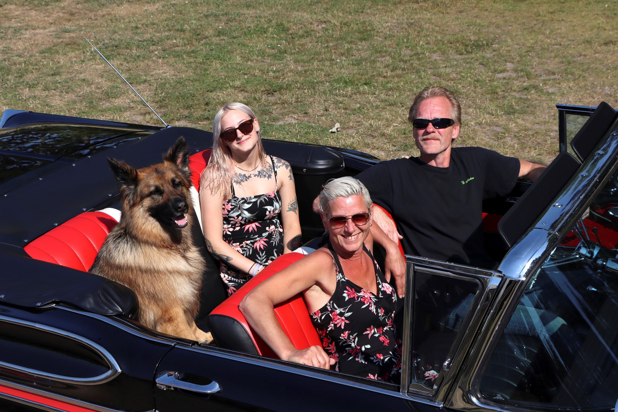 Tony med hustrun Fia i framsätet och schäfern Zaga samt dottern Emma där bak. I sommar har det blivit 600 mil med Mercuryn samt en mängd troféer från olika utställningar.