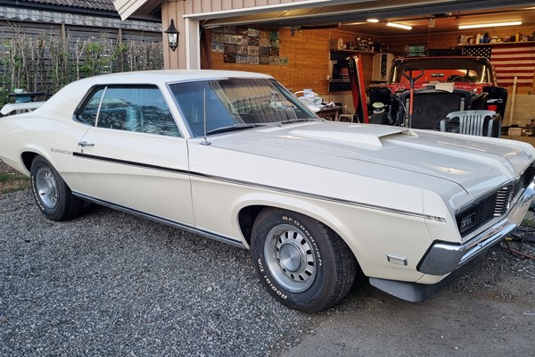 Mercury Eliminator