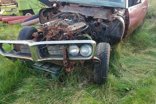 Pontiac Fierbird