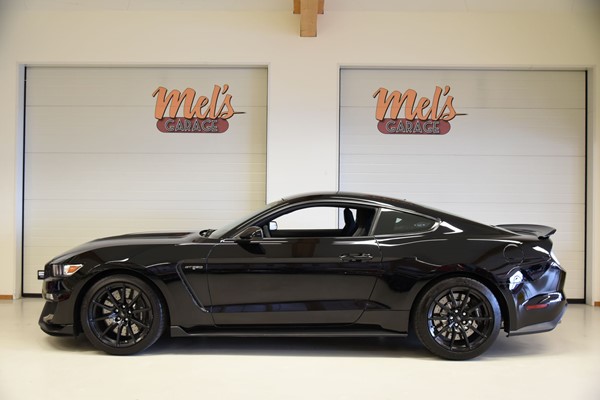 Ford Shelby GT350