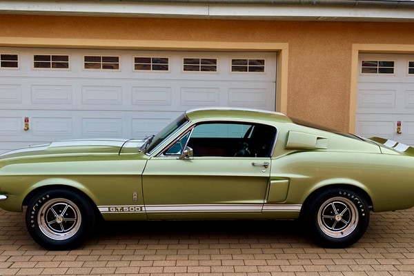 Shelby GT500