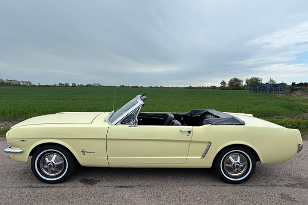 Ford Mustang Cab