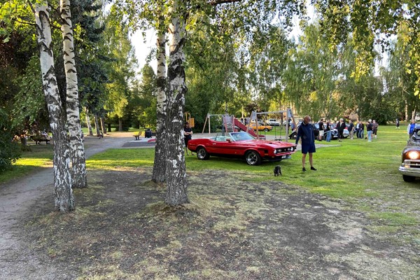 Mustang Cab 351