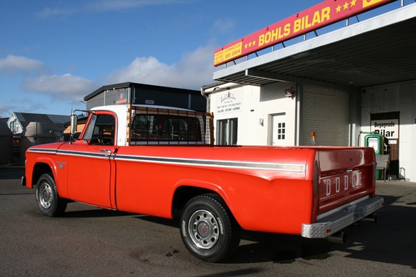 Dodge D 100