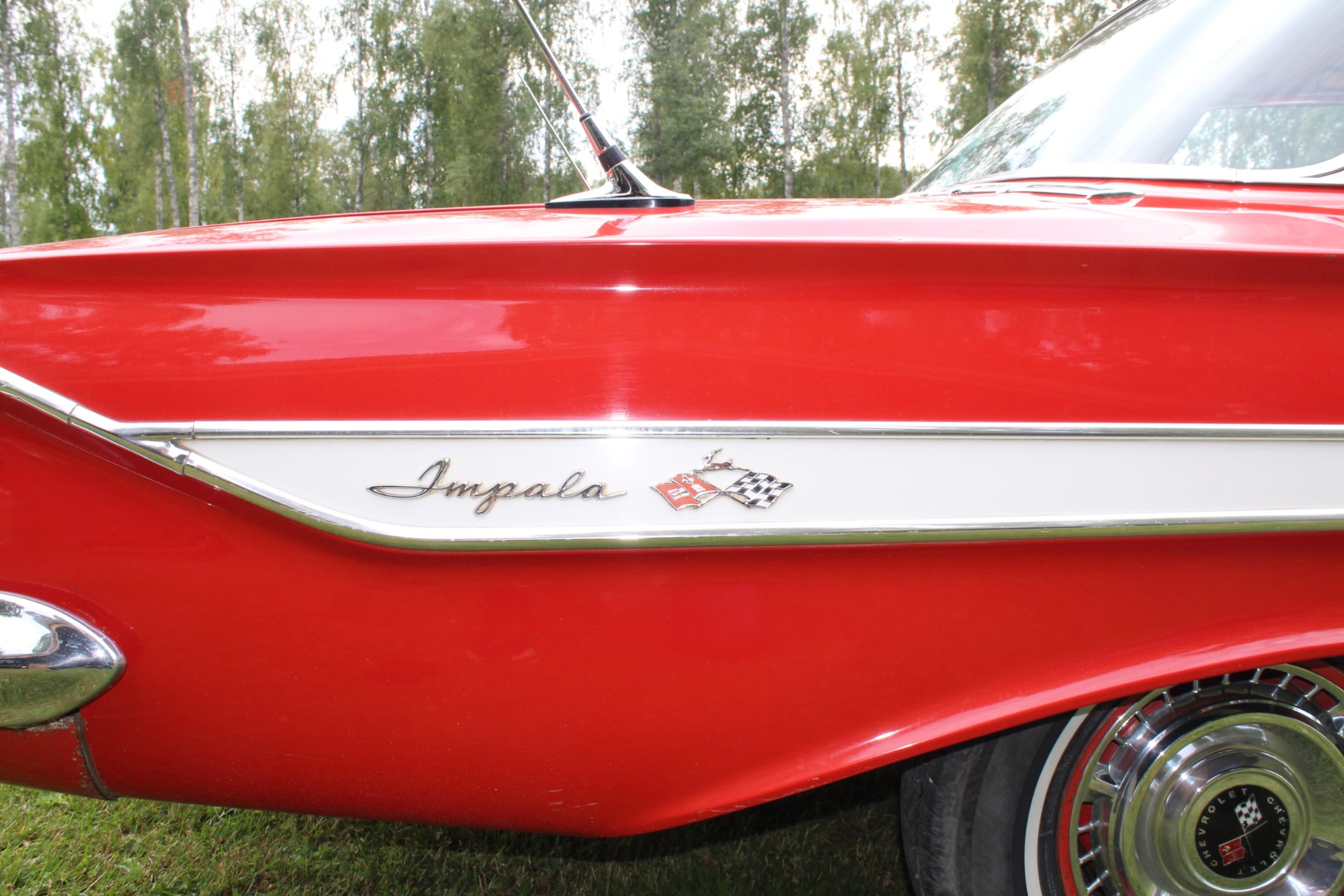 Impala med Bas
